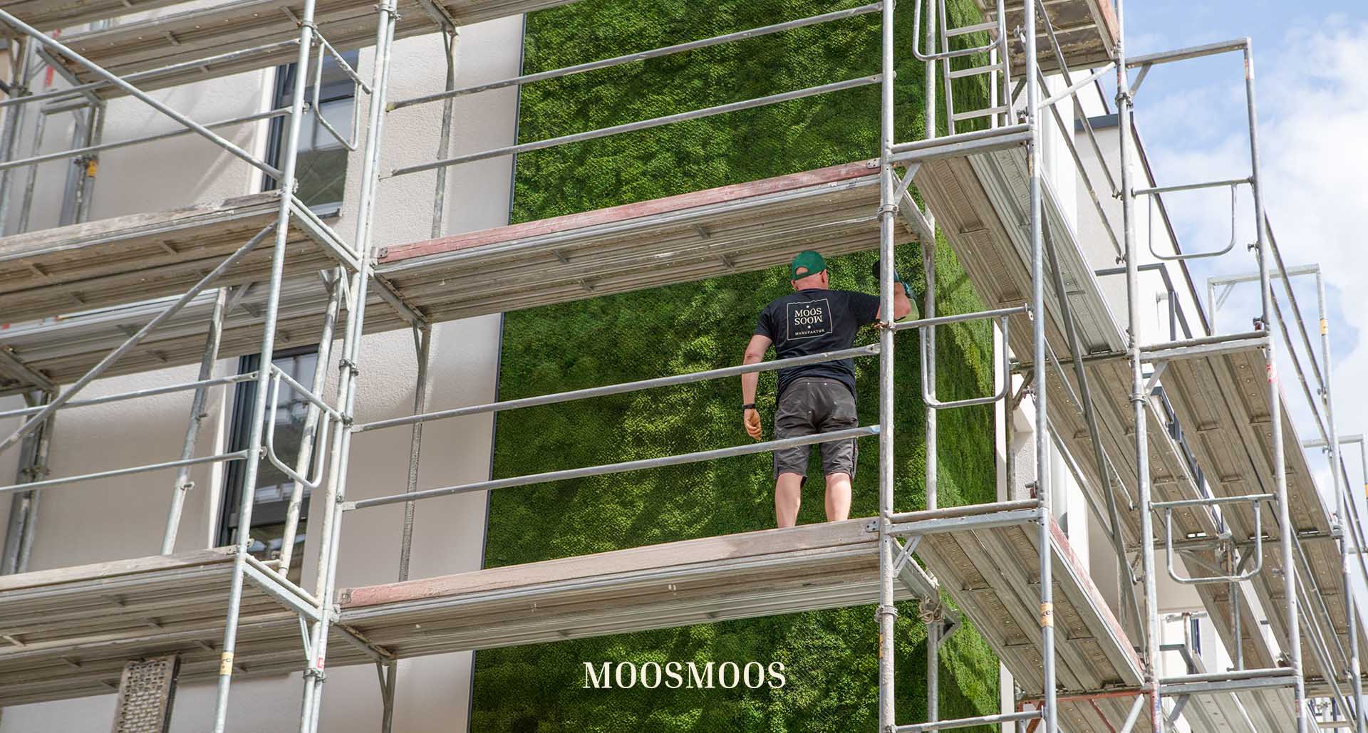 Referenzobjekt Reuter Bau Euskirchen — öffentlich sichtbare Greenovation-Moosfassade