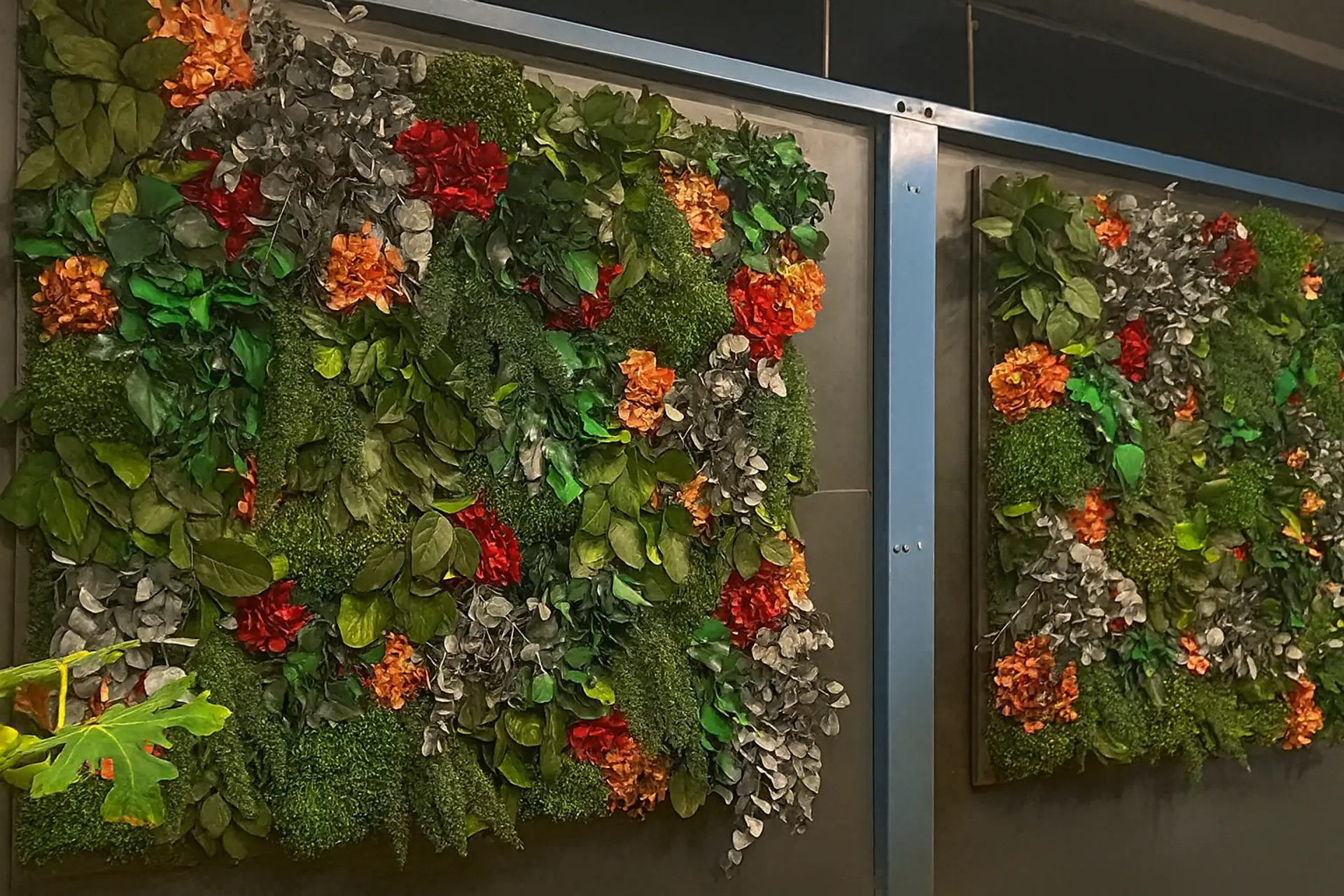 Blumenwand mit Islandmoos — Wandbegrünung von MOOSMOOS