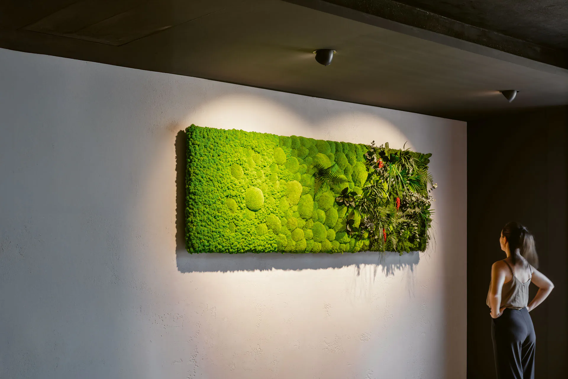 Moosbilder aus echtem Moos — handgefertigte Kollektion der MOOSMOOS Manufaktur in einer Galerie