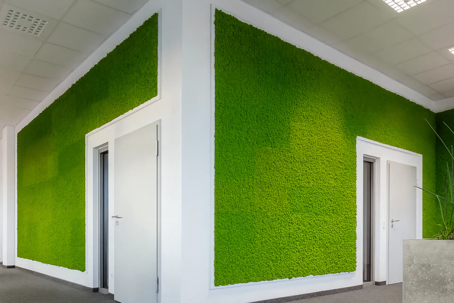 Mooswand Büro Empfang Grüne Wände — Wandbegrünung von MOOSMOOS